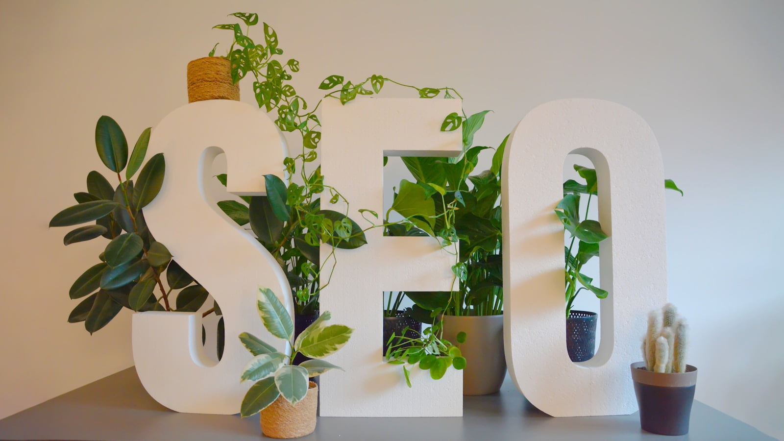 SEO white sign with plants and a potted plant next to it